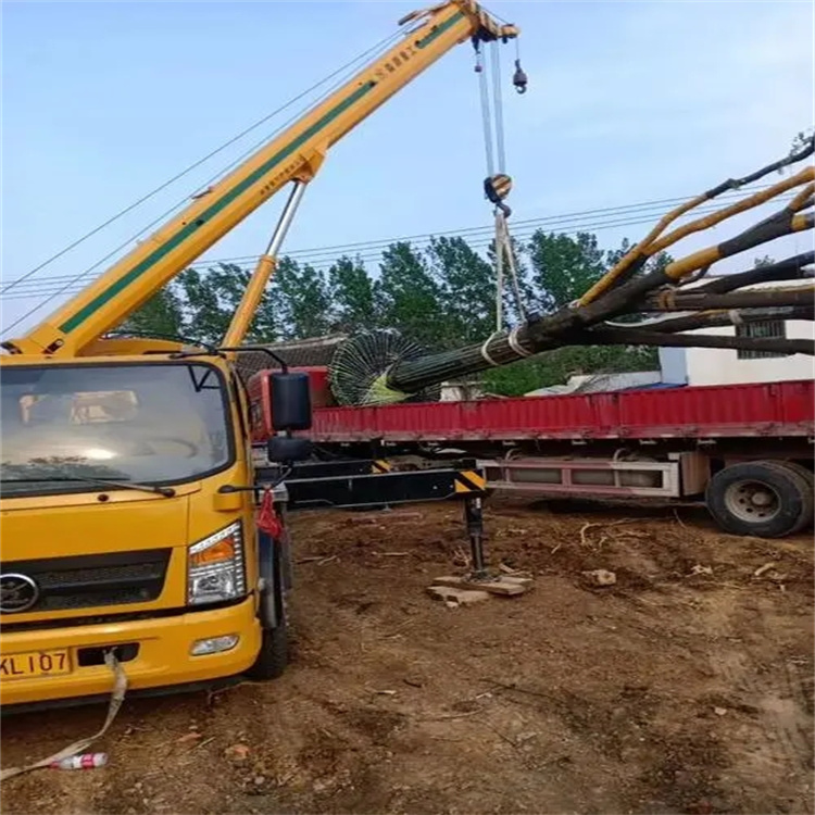 宜昌100吨吊车租赁费用怎么算？3大关键因素+省钱技巧全解析